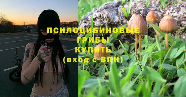 гидропоника Нязепетровск