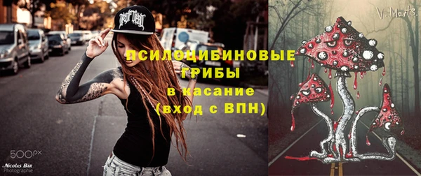 гидропоника Нязепетровск