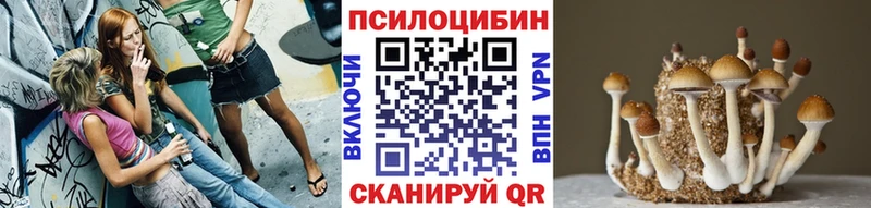 Галлюциногенные грибы Psilocybine cubensis  закладки  Псков 